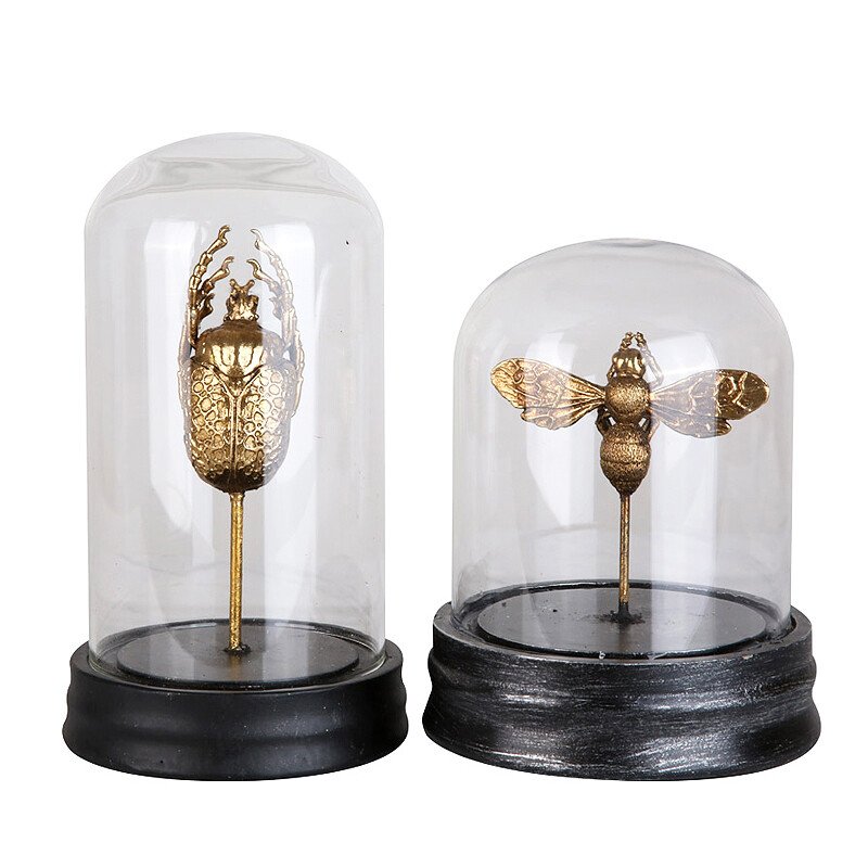 Insect Glass Dome FA-SZ1803