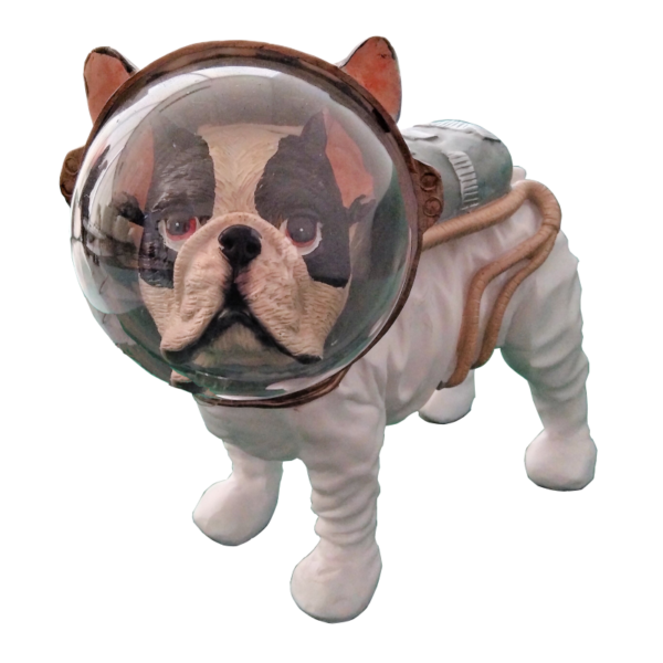 Spacedog - Front View