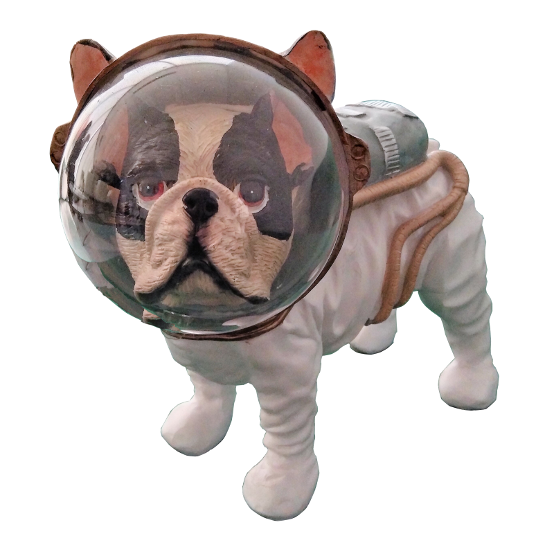 Spacedog - Front View