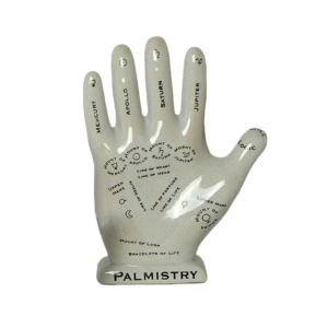 Hand Décor - Palmistry