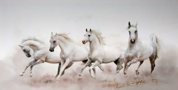 4 Horses Canvas Frame